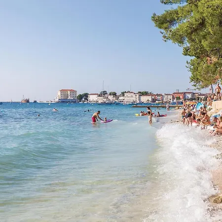 1 Bedroom Amazing In Appartement